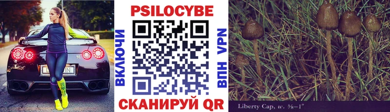 Купить  Опочка  Псилоцибиновые грибы Cubensis 